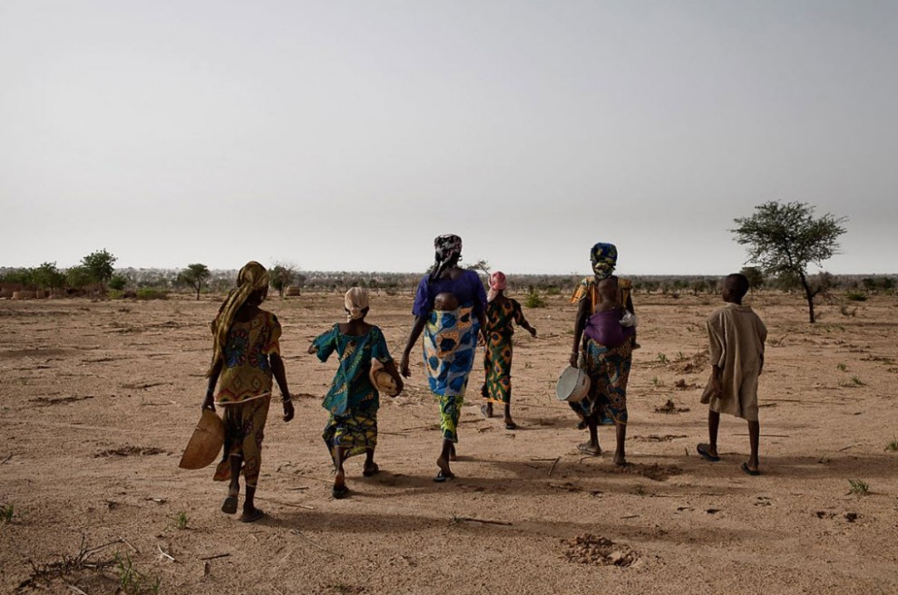 Продовольственный кризис в Нигере nigerfoodcrisis10 990x657 Продовольственный кризис в Нигере