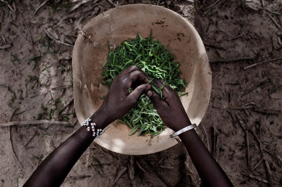 Продовольственный кризис в Нигере nigerfoodcrisis20 990x656 Продовольственный кризис в Нигере