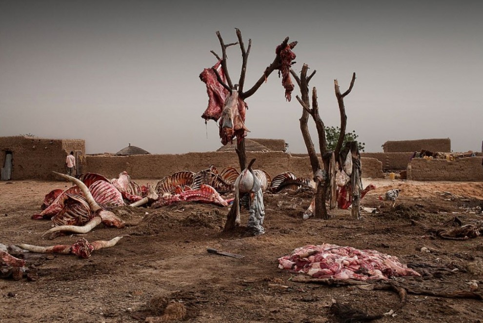 Продовольственный кризис в Нигере nigerfoodcrisis21 990x661 Продовольственный кризис в Нигере
