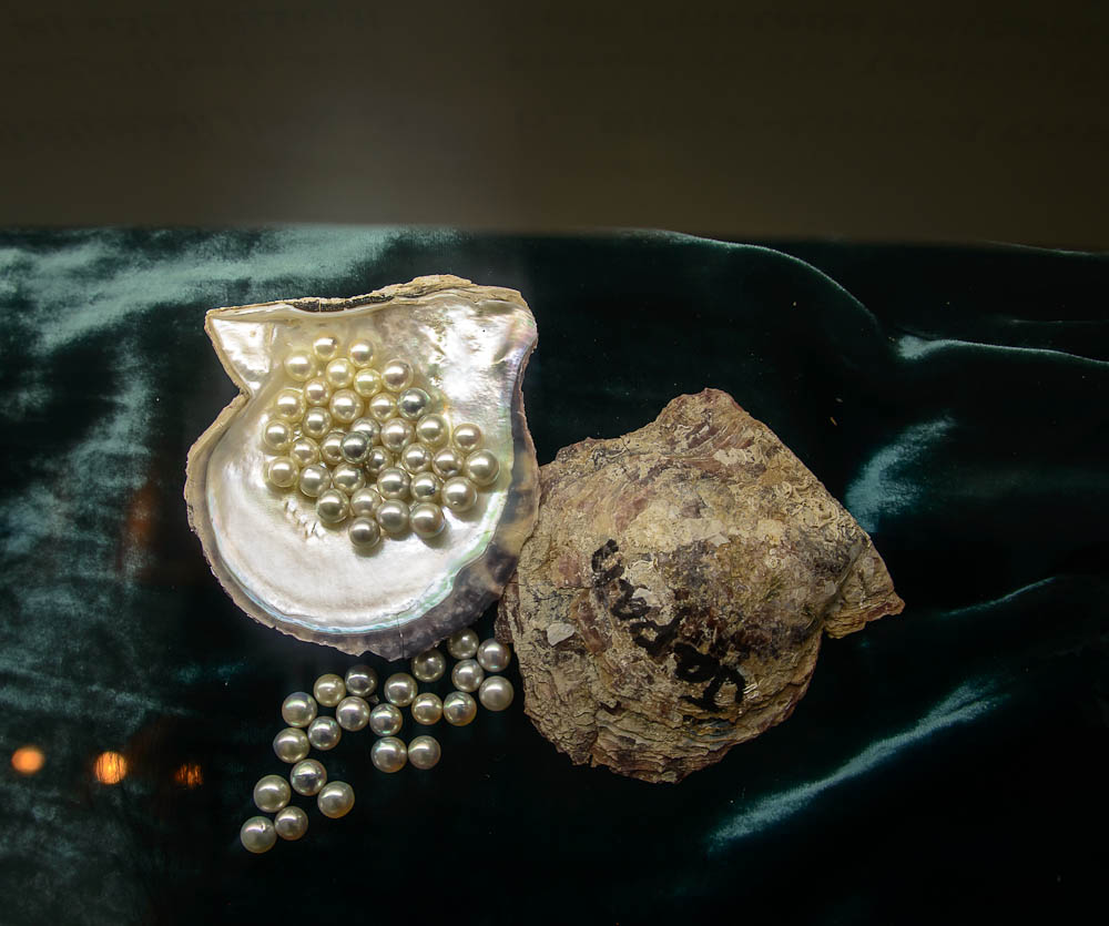 жемчуг в Эмиратах pearl06 Как выращивают жемчуг в Эмиратах