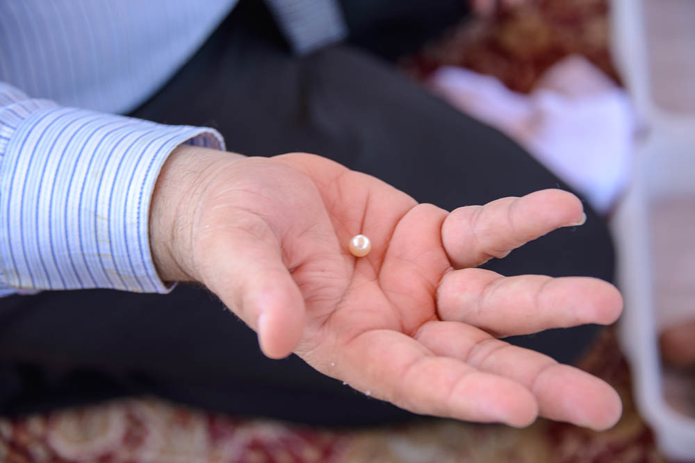 жемчуг в Эмиратах pearl20 Как выращивают жемчуг в Эмиратах