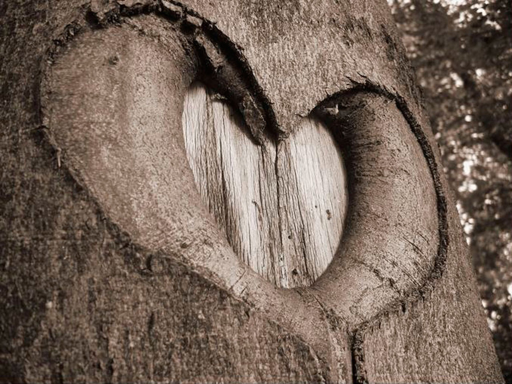 Heart 10 Ко дню Святого Валентина: Сердца, всюду сердца!