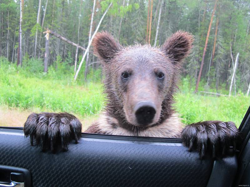 10 phobias caused by nature 034 10 phobias caused by nature