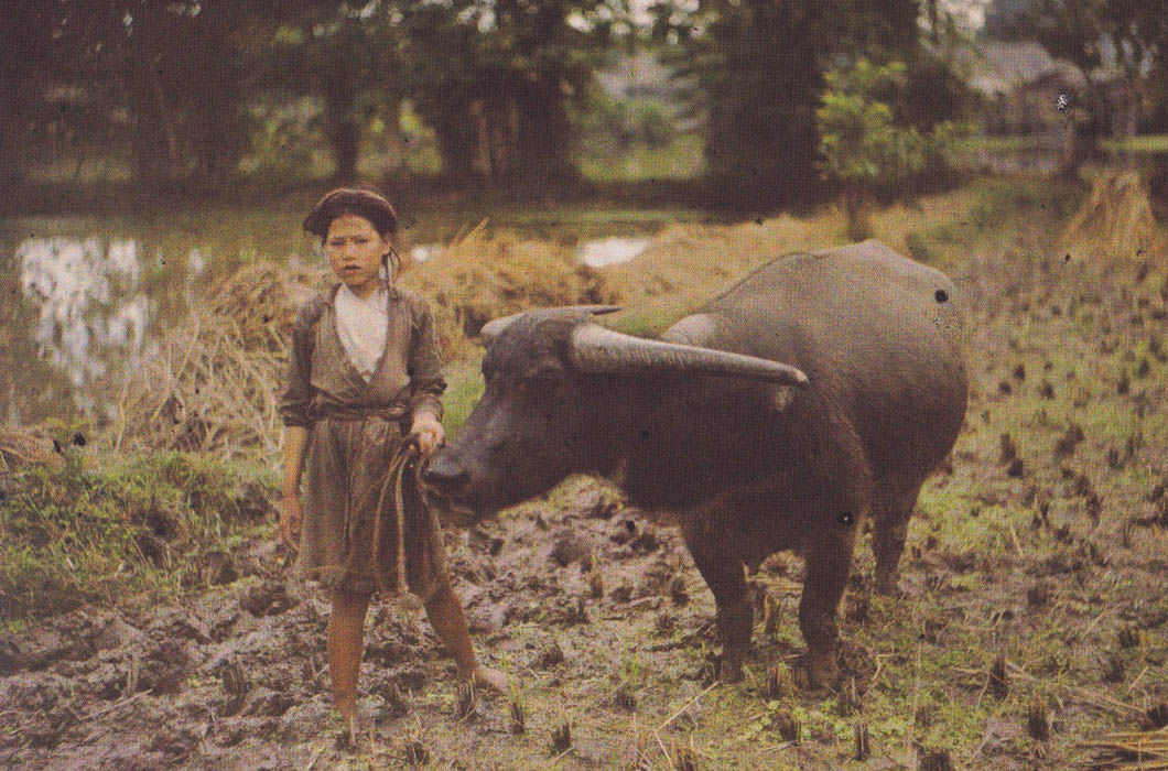 IndoChina03 Загадочный Индокитай: 100 лет назад