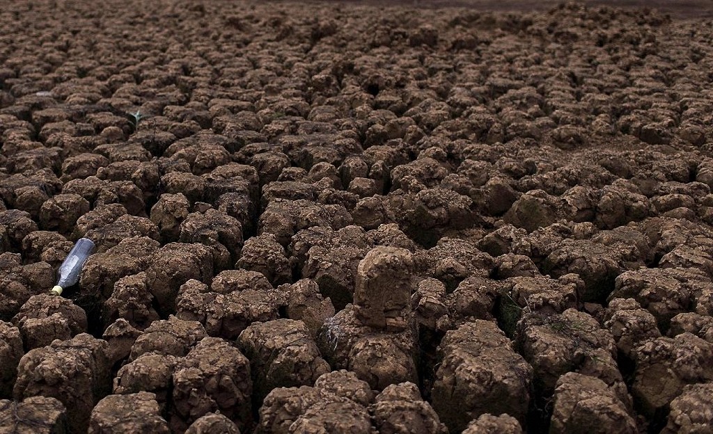 Засуха в Бразилии dryBrazil09 Засуха в Бразилии