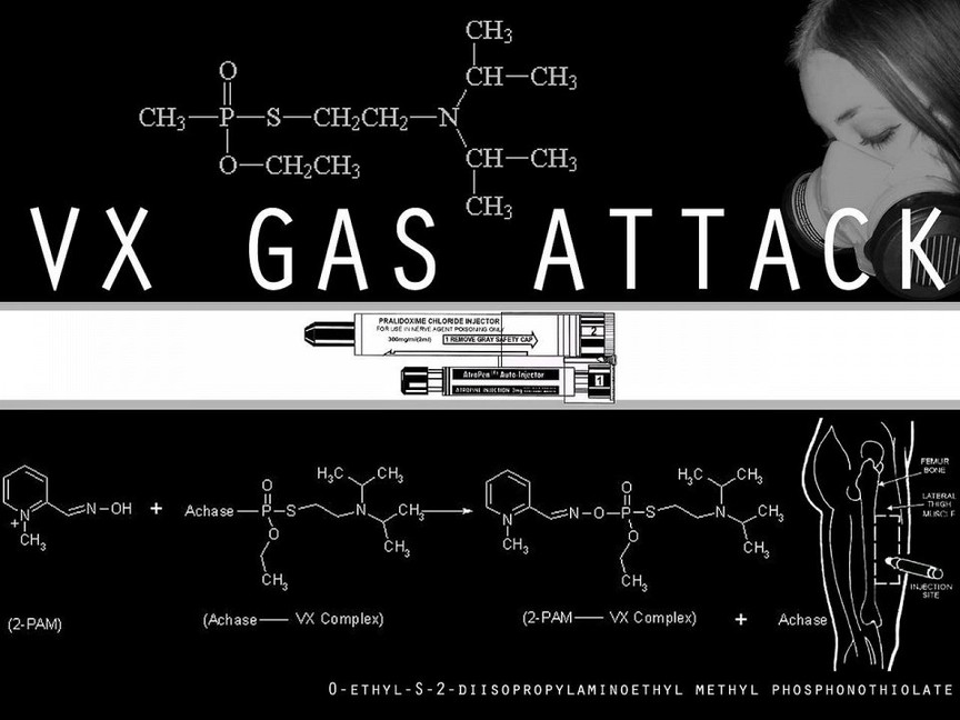 toxins09 10 ����� ������� ����