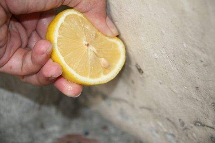 lemon32 30 интересных способов использования лимона