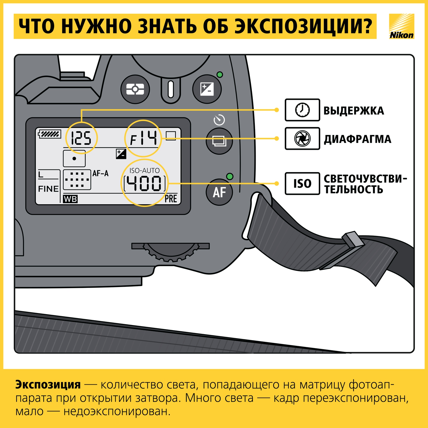 Как научиться фотографировать: пошаговая инструкция от Nikon Info_nikon_02