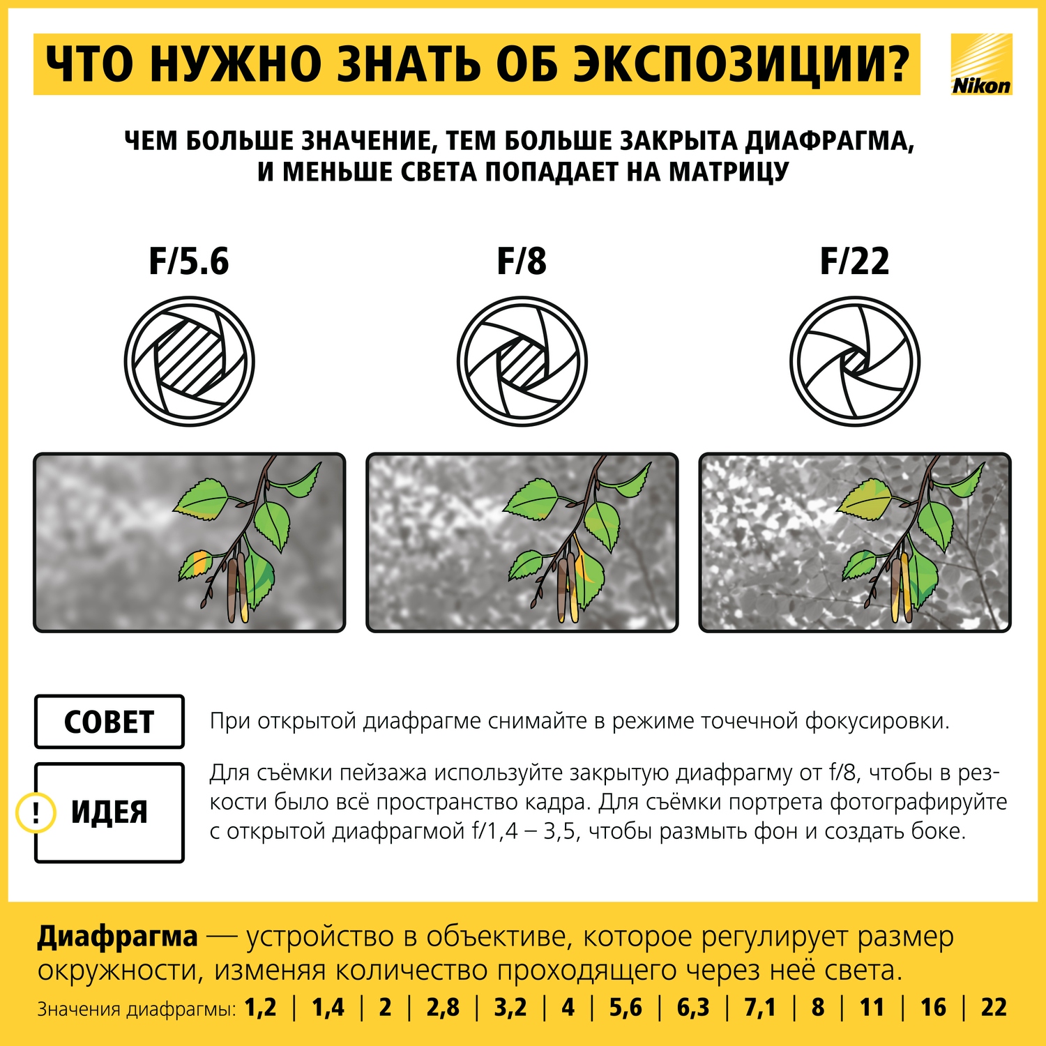 Как научиться фотографировать: пошаговая инструкция от Nikon Info_nikon_04