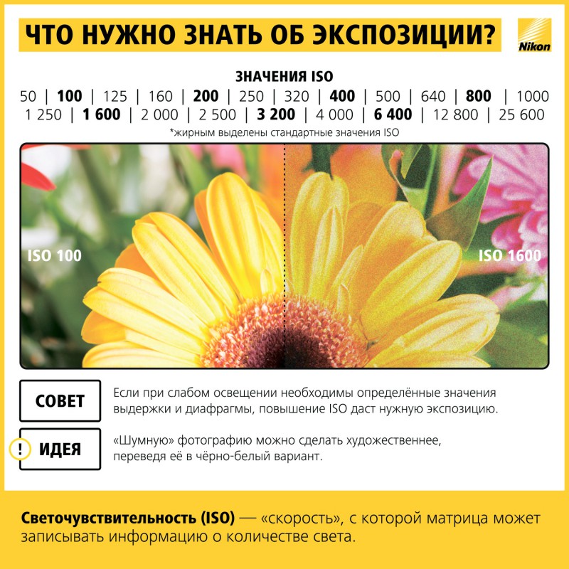 Как научиться фотографировать: пошаговая инструкция от Nikon Info_nikon_07-800x800