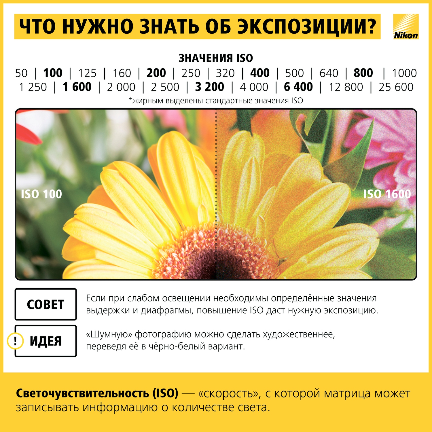 Как научиться фотографировать: пошаговая инструкция от Nikon Info_nikon_07