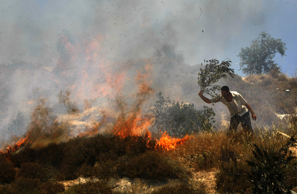 Palestina mencoba untuk memadamkan api pada bidang Palestina, yang membakar pemukim Yahudi di dekat desa Hawara dan penyelesaian Yitzhar di bagian utara Tepi Barat, 1 Juni 2009.  (Menahem Kahana / AFP / Getty Images)