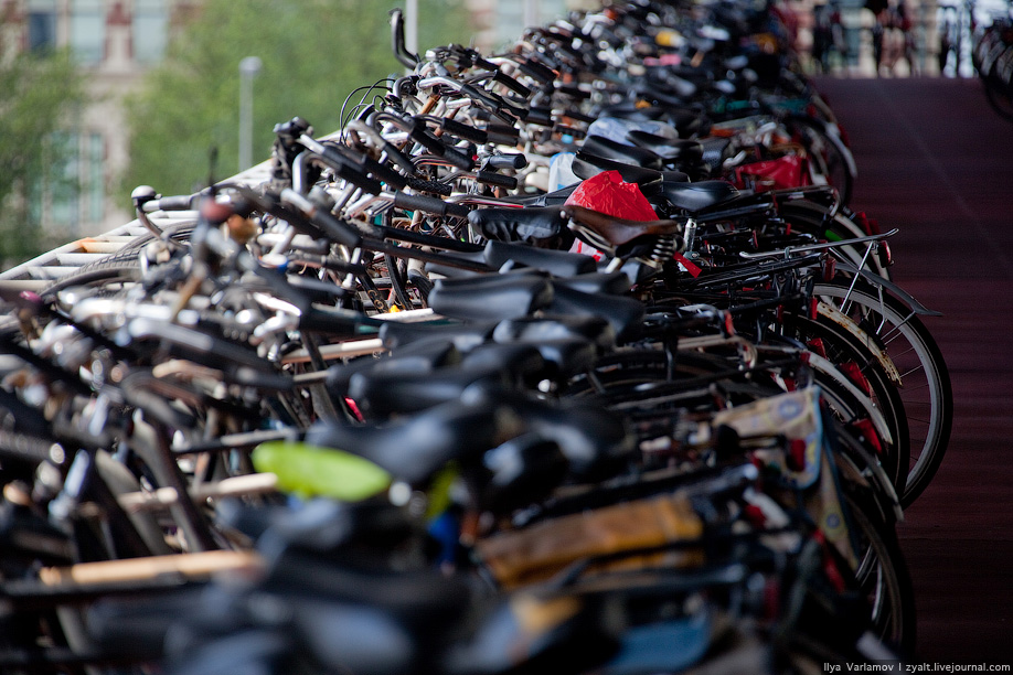 20) В этом городе велосипеды — обычное средство передвижения, куда более распространённое, чем автомобили.