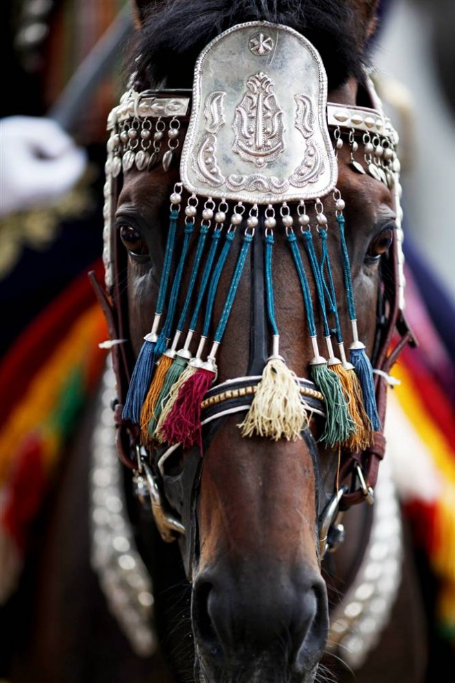 6) Конь в украшениях во время фестиваля Алка в городе Синь на юге Хорватии. Алка представляет собой турнир по верховой езде, который с 1715 года проходит каждый август в хорватском городе Синь, в ознаменование победы над Османской Империей. (Damir Sagolj/Reuters)
