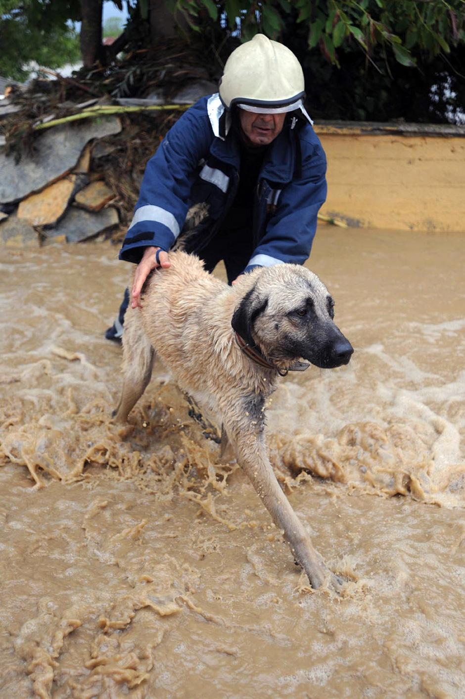 2) Мужчина спас собаку в Тракийском районе Стамбула.