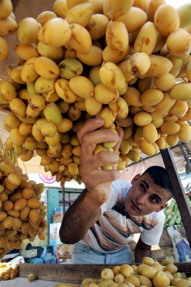 2.  Merchant buah dan sayuran dari Palestina menempatkan kurma segar untuk dijual di Tepi Barat di Jenin pada hari Sabtu.  Tanggal - makanan tradisional di bulan Ramadhan, sebagai legenda nabi Muhammad makan malam setiap malam.  (Saif Dahlah / AFP - Getty Images)