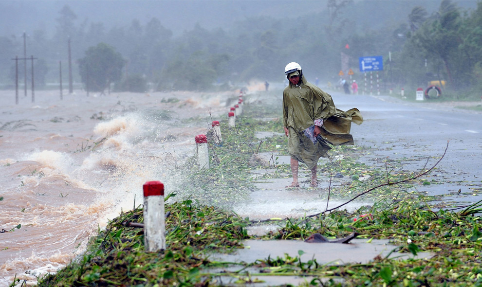 2. Человек ищет обломки древесины, вынесенные на берег озера вдоль национального северо-южного шоссе недалеко от Дананга в центральном Вьетнаме, мимо которого прошел тайфун Кетсана 29 сентября 2009 года. (HOANG DINH NAM/AFP/Getty Images)