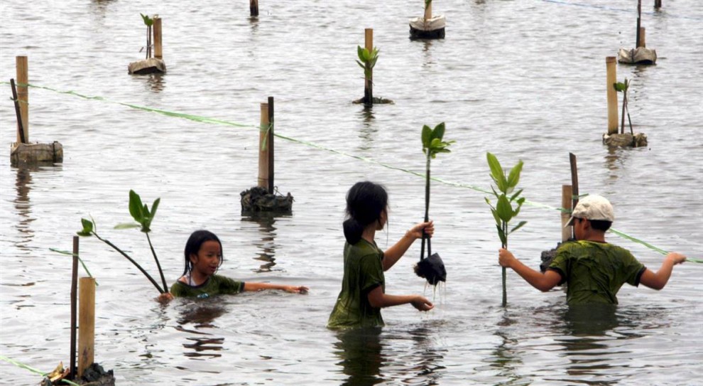 8. Школьники сажают мангровые деревья на территории заповедника в Джакарте, Индонезия. Растущие на многих побережьях, мангровые растения являются природным помощником против штормовых нагонов и даже поднимающегося уровня моря. (Bagus Indahono / EPA)