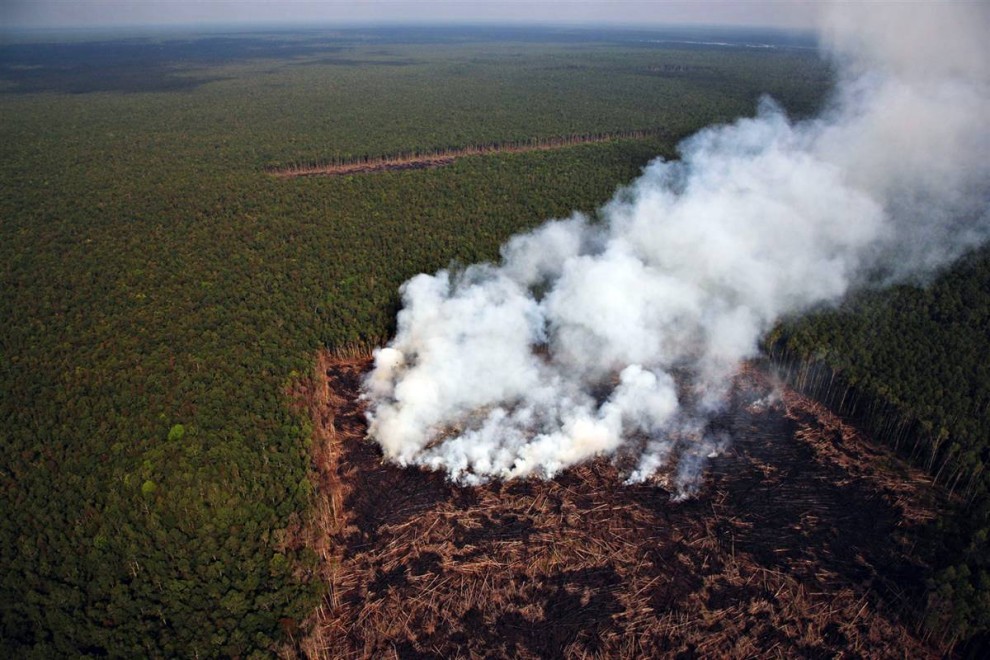 9. Вырубка лесов является главным источником парниковых газов в развивающихся странах. Эта территория леса в Индонезии была расчищена для строительства заводов по производству пальмового масла. (John Novis / Greenpeace)
