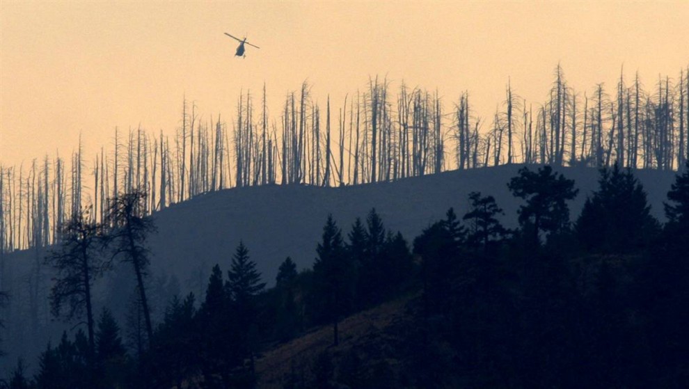 21. Жуки и пожары резко сокращают западные леса, подобно этому в Канаде. Ученые говорят, что в будущем сжигание лесов может только усугубить ситуацию с потеплением. (Darryl Dyck / AP)
