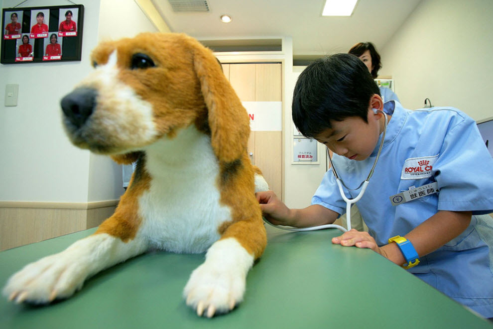 8. Ребенок обследует игрушечную собаку, играя в ветеринара, на «Неделе профессий» в «KidZania» 15 сентября. (Kiyoshi Ota/Getty Images)