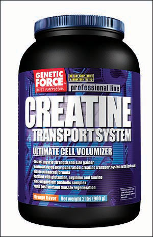 gf_creatine-transportsystem