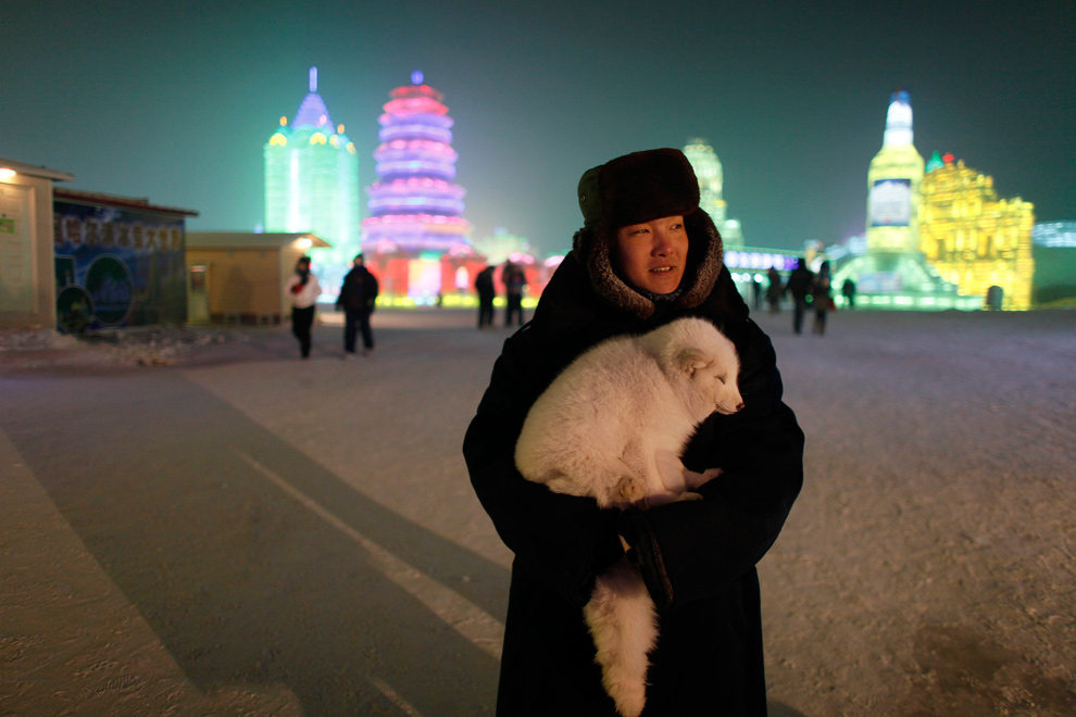 24. Женщина ждет туристов, желающих сфотографироваться с ее лисой, в Харбине 3 января 2010 года. (REUTERS/Aly Song)
