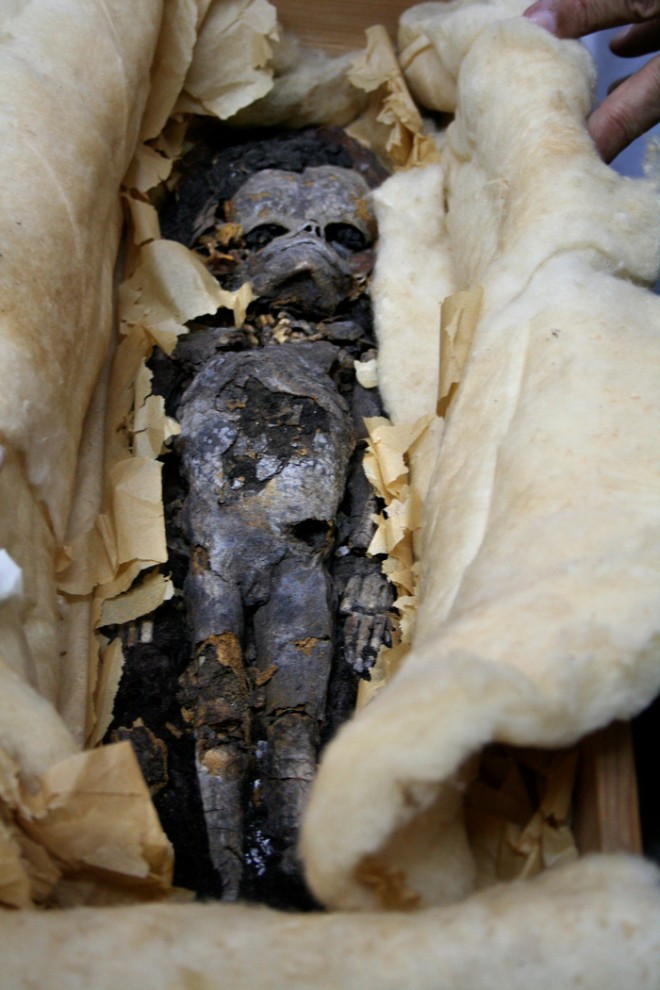 32. Одна из
двух мумифицированных эмбрионов, найденных в гробнице <br
/>фараона Тутанхамона в 1922 году. Египетские ученые проводили тесты
ДНК, <br />чтобы узнать, были ли эти зародыши детьми юного
фараона. (AP <br />Photo/Supreme Council of Antiquities)