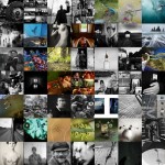 collage 150x150 Фотографы рассказывают про свой лучший кадр