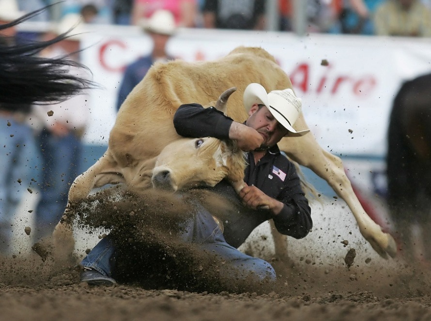 Люк Бранквино из Лос Аламоса, штат Калифорния, борется с молодым бычком на родео в городе Рено, штат Невада, 20 июня 2010 года
