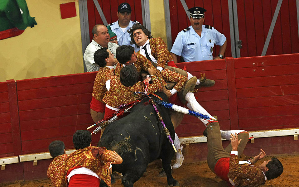 Полицейские смотрят, как несколько человек пытаются поймать быка во время корриды в Эворе, Португалия