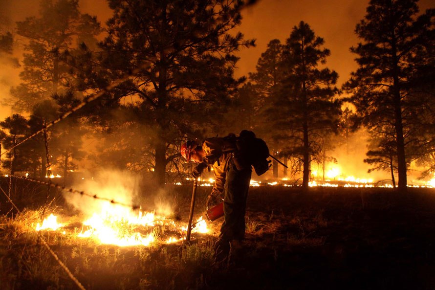 Пожарный Тайлер Джонс из Фресно, штат Калифорния поджигает участок леса, чтобы вызвать контролируемый пожар в понедельник вечером к северу от Флагстаффа, штат Аризона