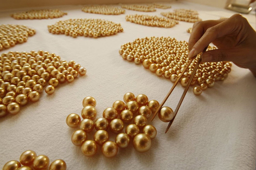 golden pearls30 Золотой жемчуг