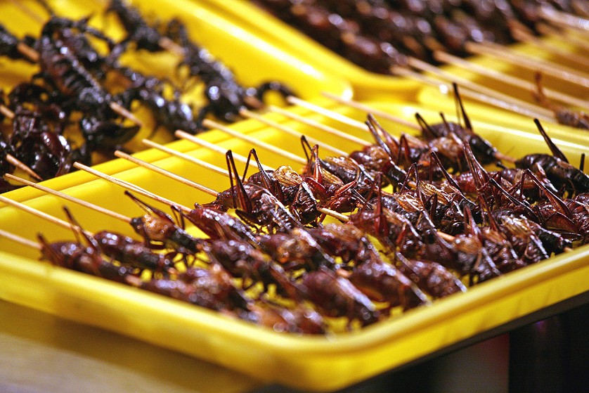 0268 Употребление насекомых в пищу