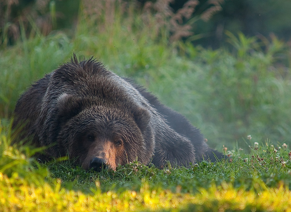 748 Фотоконкурс National Geographic 2010