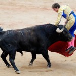 10510 150x150 Испанские быки одержали историческую победу
