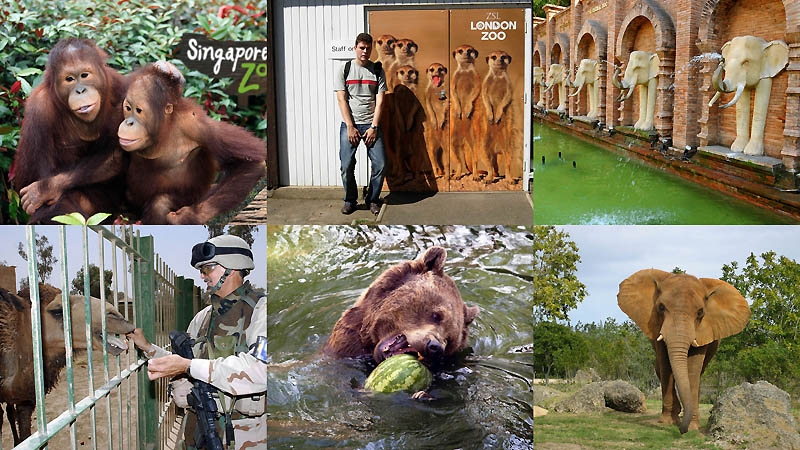 0020 Лучшие зоопарки мира по версии «Forbes»