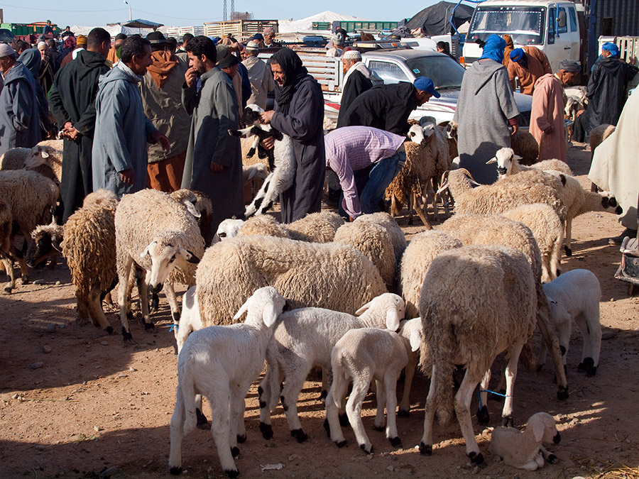 Рынок в Таруданте