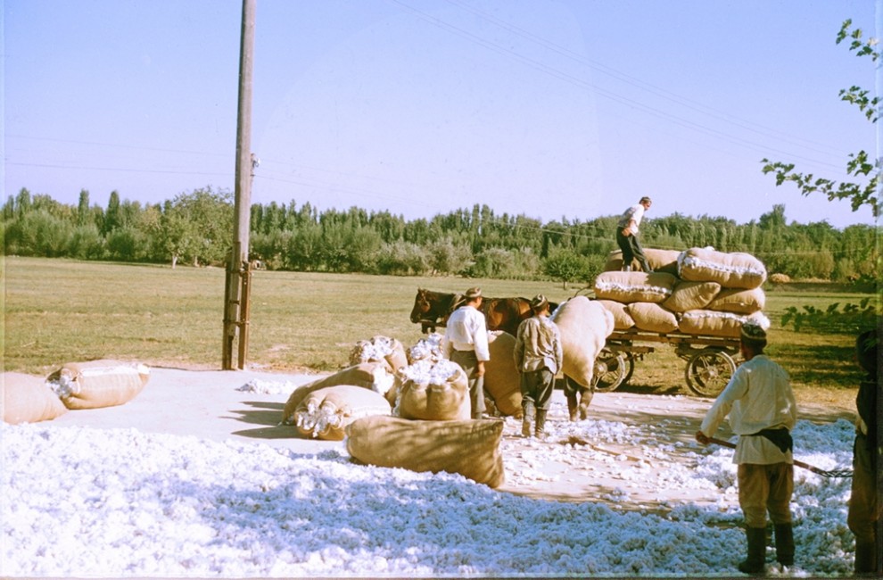Французский турист в Узбекистане 1956 года