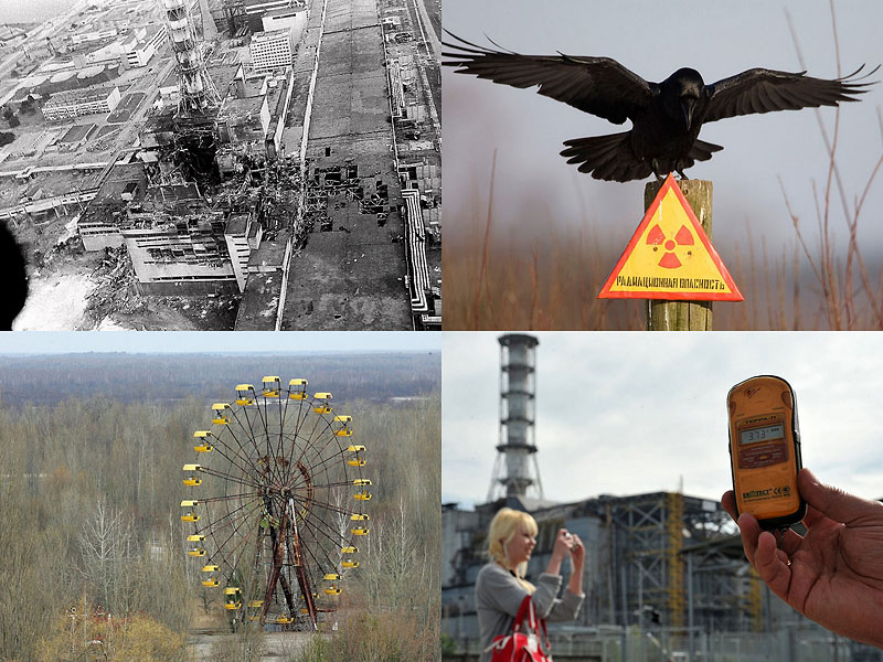0077 Чернобыль 26 лет спустя
