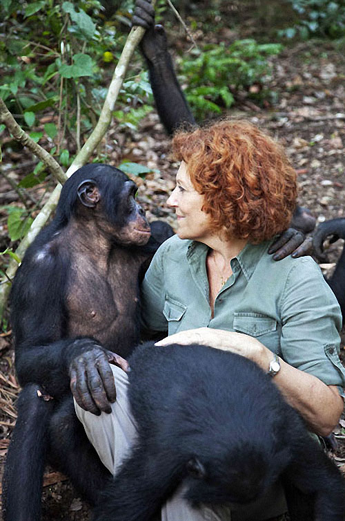 apes13 Заповедник Lola ya Bonobo в Конго