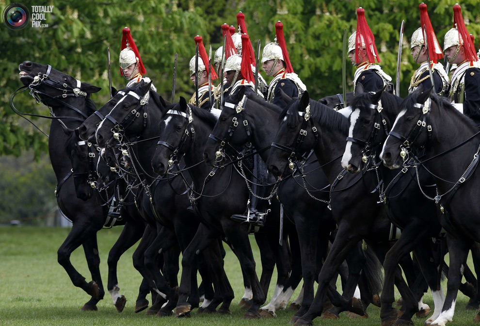 cavalry0 Королевская конная гвардия