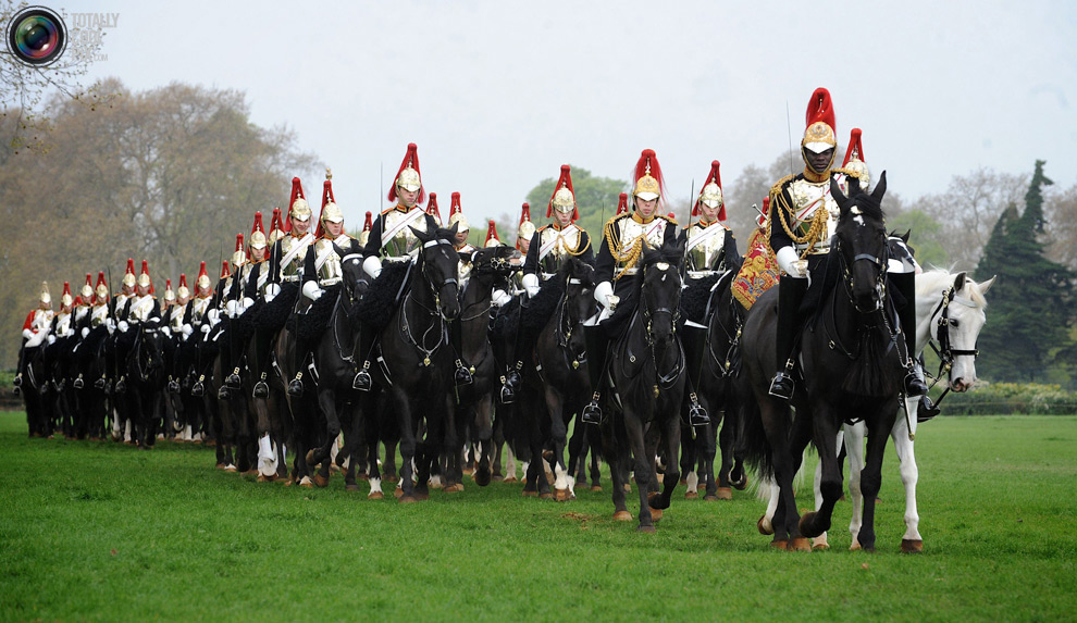 cavalry5 Королевская конная гвардия