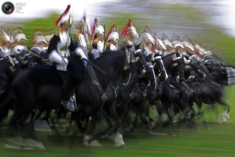 cavalry7 800x533 Королевская конная гвардия