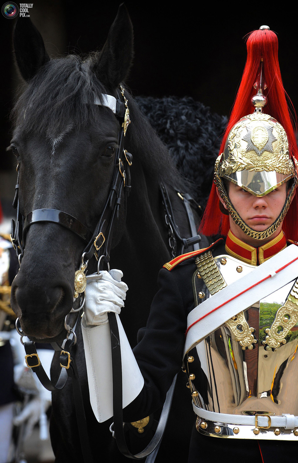 cavalry8 Королевская конная гвардия