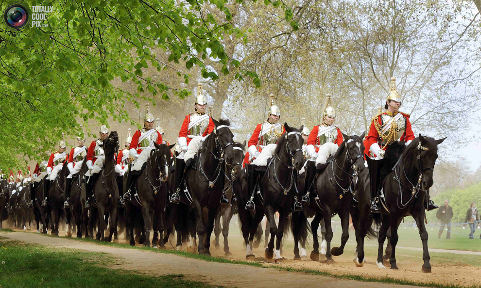 cavalryY Королевская конная гвардия
