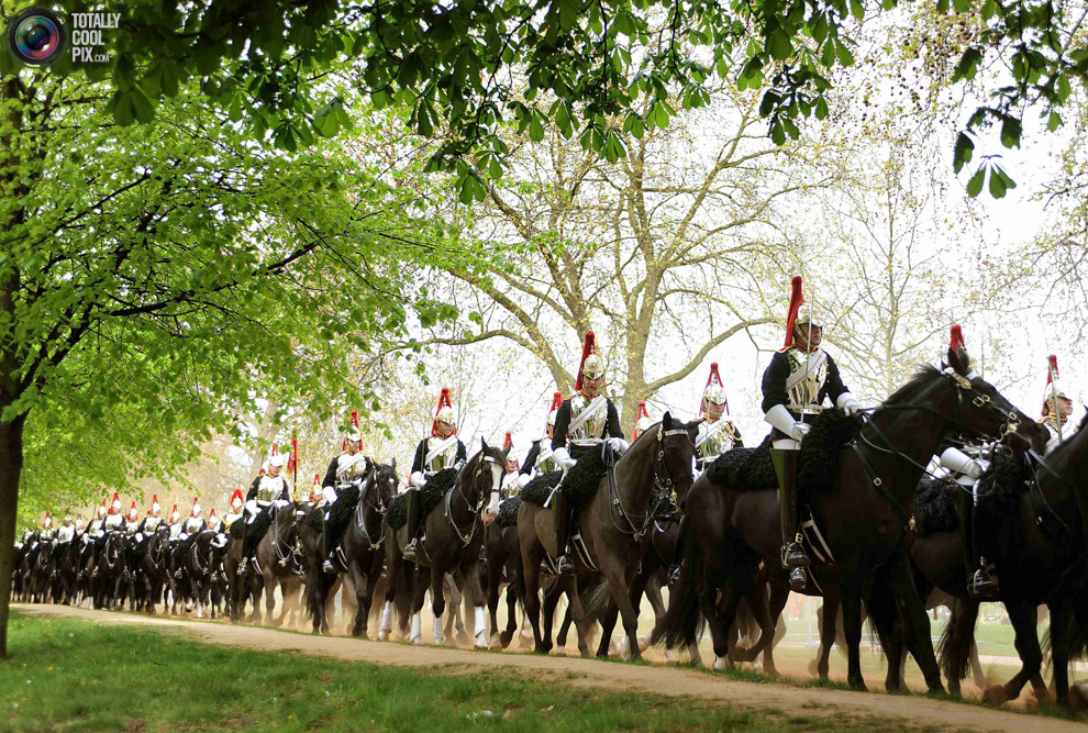 cavalryZ Королевская конная гвардия