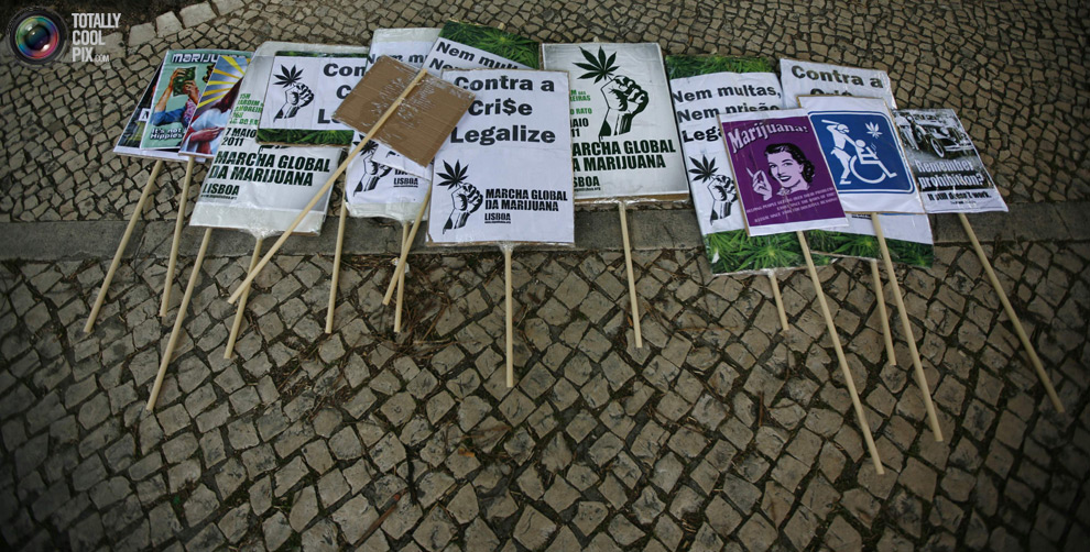 dope 004 Марши за легализацию марихуаны в разных странах мира