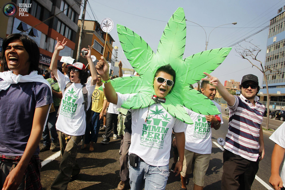 dope 013 Марши за легализацию марихуаны в разных странах мира