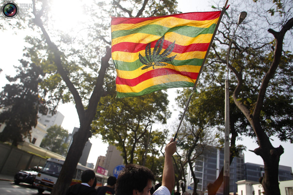 dope 015 Марши за легализацию марихуаны в разных странах мира